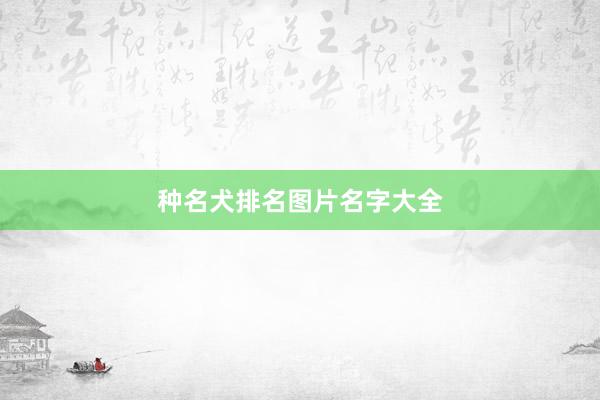 种名犬排名图片名字大全