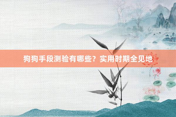 狗狗手段测验有哪些？实用时期全见地